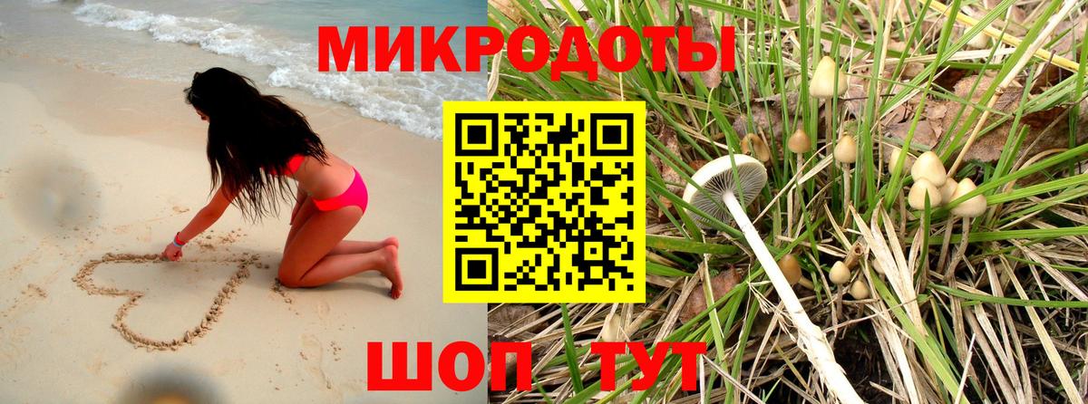 Псилоцибиновые грибы Cubensis Тимашёвск